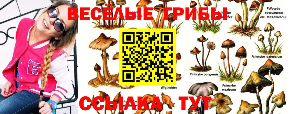 Галлюциногенные грибы Psilocybine cubensis  Галлюциногенные грибы Cubensis  Вход с VPN  Новосибирск 